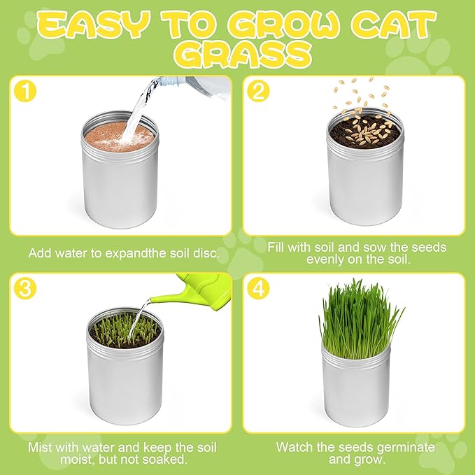 4 Pack Cat Grass Seeds Kit for Indoor Cats, Beginner Friendly Easy Grow Cat Grass Growing Kit, Fast Germinating, Natural Hairball Control, Safe Chewing Grass for Cats & Kittens