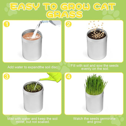 4 Pack Cat Grass Seeds Kit for Indoor Cats, Beginner Friendly Easy Grow Cat Grass Growing Kit, Fast Germinating, Natural Hairball Control, Safe Chewing Grass for Cats & Kittens