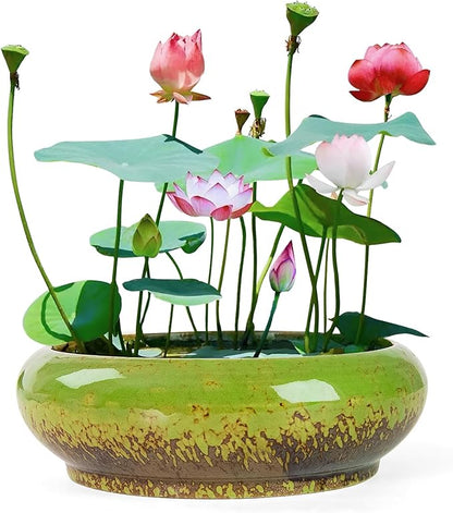 Lotus Bowl Planter - 7.3 Inch Large Lotus Flower Bowl for Water Plants, Ceramic Hydroponic Planter Water Lily Bowl for Planting Aquatic and Indoor Succulent Plants and Bonsai