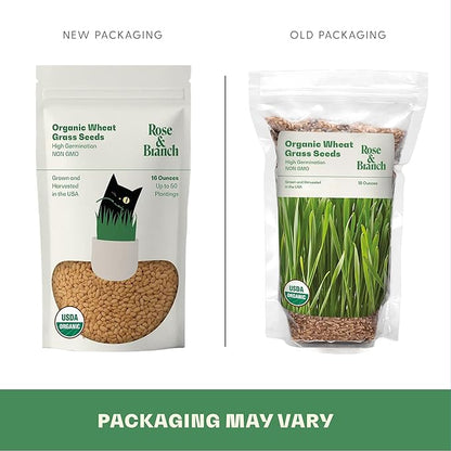 Rose & Branch Organic Wheat Grass Seeds for Indoor Cats - Cat Grass Seeds - 16 Ounces - 100% Organic Non-GMO - Hard Red Wheat - Harvested in USA - Easy to Grow