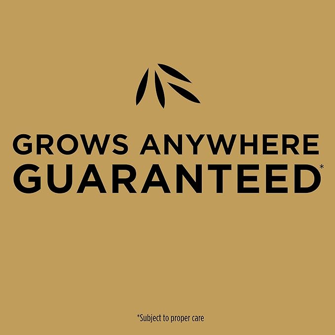Scotts EZ Seed Patch & Repair Tall Fescue Lawns Combination Mulch, Grass Seed and Fertilizer for Bare Spots and Repair, Grows Anywhere, 40 lb.