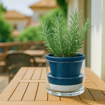 D'vine Dev 6 Inch Design Self Watering Planter for Indoor Plants, Blue Terracotta Pot with Cylinder Glass Cup, 37-X-B-4