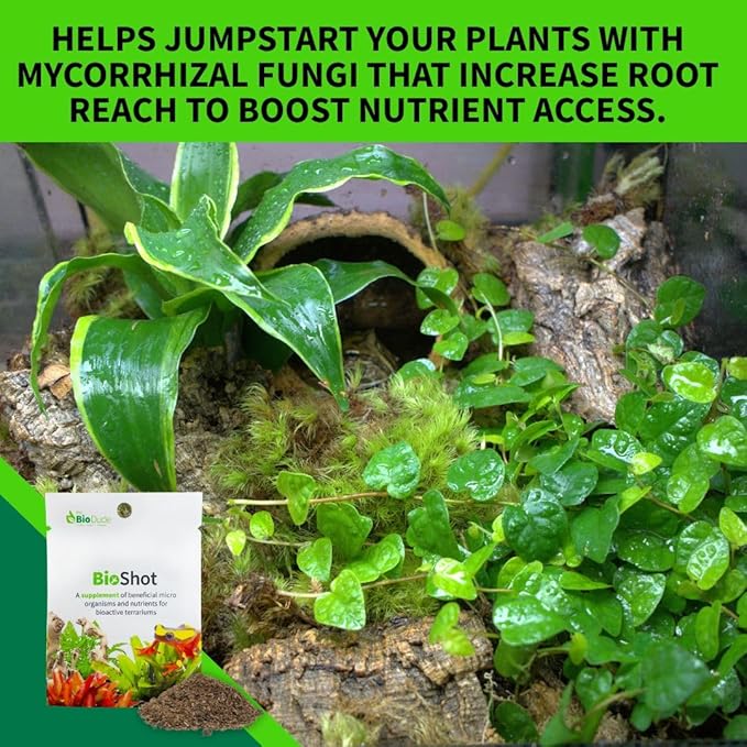The Bio Dude BioShot for bioactive Substrate - Soil inoculant and Plant Booster (36 Quart Substrate Shot)