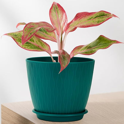 Plant Pots – 6 Inch Planters with Drainage Holes and Saucers, Flower Pots for Indoor and Outdoor Plants, Nursery Planting Pots (Pack of 5, Teal)