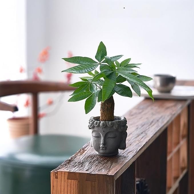 Buddha Head Planter with Drainage Hole - Zen Flower Pot for Succulents, Air Plants, Home & Office Decor, Gift for Plant Lovers (Indoor/Outdoor Use)﻿