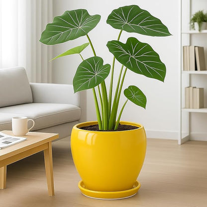 Deep Dream 10 Inch Plant Pot- Ceramic Planter Pot Round Plant Pots for Indoor Plants Outdoor Large Flower Pot with Drainage Holes & Trays, Yellow