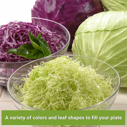 Sow Right Seeds - Cabbage Seed Collection for Planting - Savoy, Jersey Wakefield, Red Acre, Golden Acre, Copenhagen, Round Dutch - Non-GMO Heirloom Varieties to Plant and Grow a Home Vegetable Garden