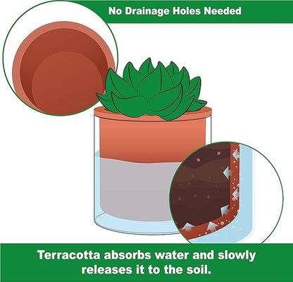 Phoenix Vine 4 Inch 6 Inch Self Watering Plants Pots, Design Terracotta Pots for Plants, Indoor Cylinder Terra Cotta Planter with Glass Vase Set, 51-A-G-46