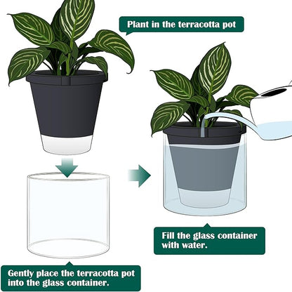 D'vine Dev 10 Inch Design Self Watering Planter for Indoor Plants, Black Terracotta Pot with Cylinder Glass Cup, 37-X-D-3