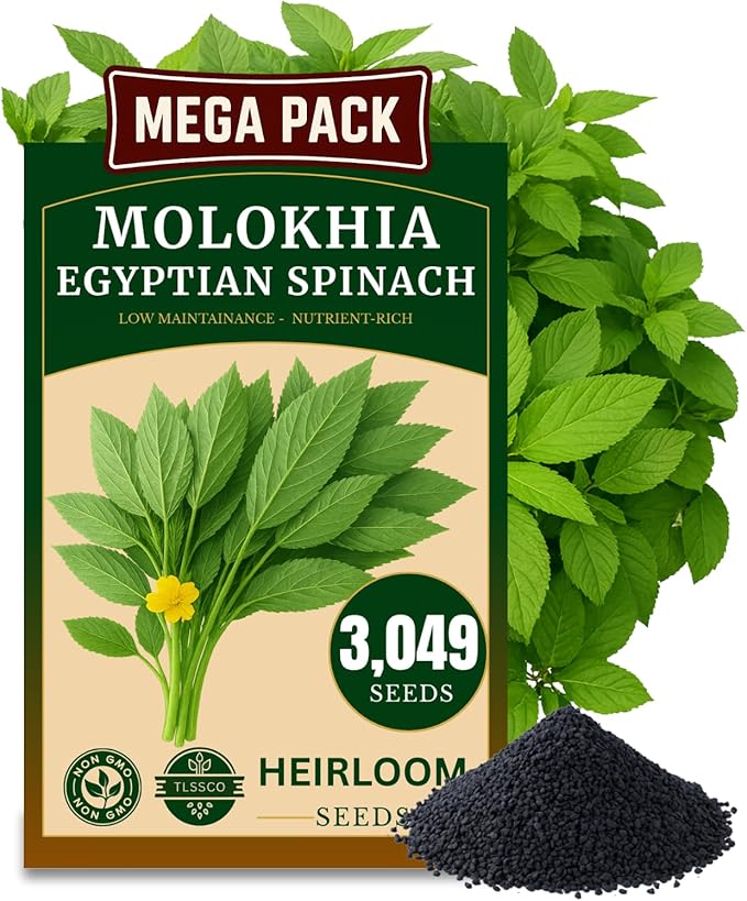 3000+ USA Premium Egyptian Spinach Seeds (Molokhia), Non-GMO Seeds, Fast-Growing, Low Maintainance, Nutrient-Rich & High-Yield – Heirloom Seeds