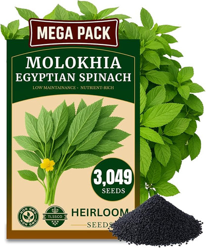 3000+ USA Premium Egyptian Spinach Seeds (Molokhia), Non-GMO Seeds, Fast-Growing, Low Maintainance, Nutrient-Rich & High-Yield – Heirloom Seeds
