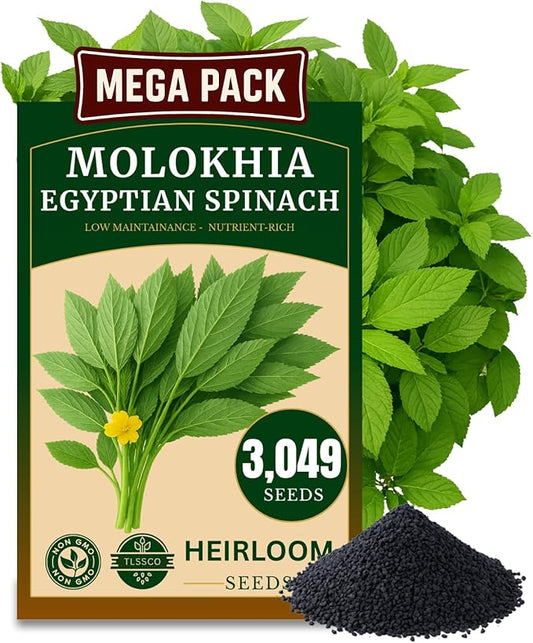 3000+ USA Premium Egyptian Spinach Seeds (Molokhia), Non-GMO Seeds, Fast-Growing, Low Maintainance, Nutrient-Rich & High-Yield – Heirloom Seeds