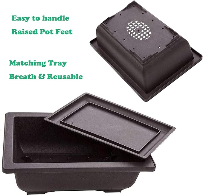 6 Packs Bonsai Training Pots with Trays 6.3 Inch Nursery Pots with Drainage Plastic Bonsai, Come with 12pcs Plant Labels, Rectangle Bonsai Flower Growing for Home Garden, Yard, Balcony, Office (s)