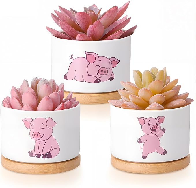 Vesici 3 Pcs Pink Pig Gifts for Women Pig Planter Succulent Pots with Drainage and Bamboo Tray Small Ceramic Succulent Planters Animal Plant Pot for Christmas Office Home Decor Plant Lovers