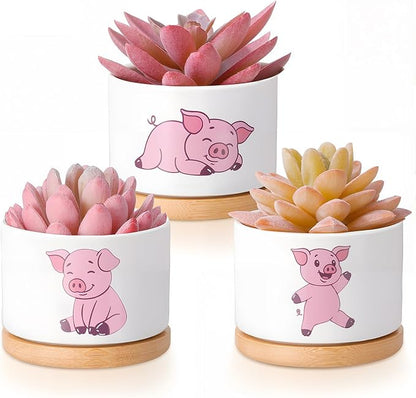 Vesici 3 Pcs Pink Pig Gifts for Women Pig Planter Succulent Pots with Drainage and Bamboo Tray Small Ceramic Succulent Planters Animal Plant Pot for Christmas Office Home Decor Plant Lovers