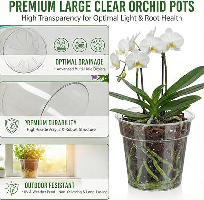 8/10 Inch Large Clear Nursery Pots with Drainage, 6 Pack Acrylic Plant Pots, 90% Light Transparency, Reusable for Flowers and Orchids, Indoor Outdoor Use, A Must-Have for Plant Lovers