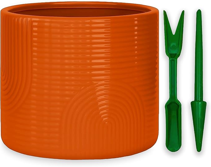 6 Inch Ceramic Plant Pot – Indoor & Outdoor Flower Planter for Succulents, Herbs & Small Plants – Thick-Walled Modern Design – Terracotta