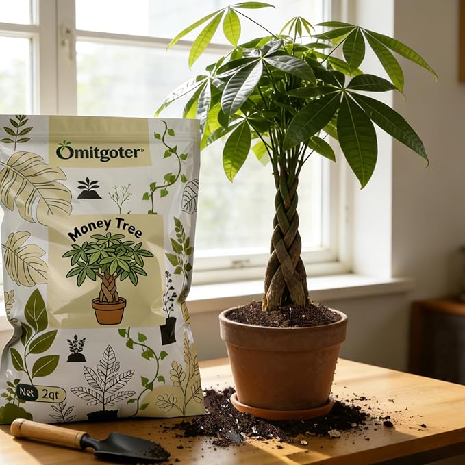 All-Natural Money Tree Soil & Indoor Potting Mix 10QT - Drainage-Enhanced Plant Soil for Healthy Indoor Plants