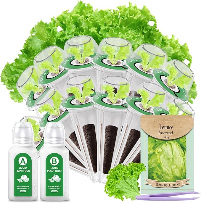 Gourmet Lettuce Seed Pod Kit for AeroGarden, iDoo, Ahopegarden, MuFGA with Nutrient Solution, Hydroponics Growing Kit for Indoor Garden System (12-Pod)