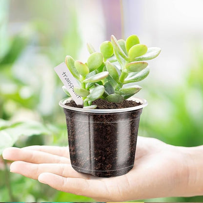 4/5/6Inch Nursery Pot,30 Pack Clear Pots with Drainage, Plastic Pots for Planting Vegetables Flowers Seedlings