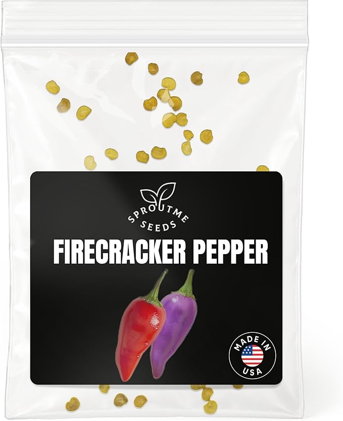 Firecracker Pepper Seeds for Planting – 50 Hot Ornamental Chili Seeds, Compact Colorful Pepper Plant, Non-GMO Heirloom, High Germination, Indoor & Outdoor Garden (Capsicum annuum)