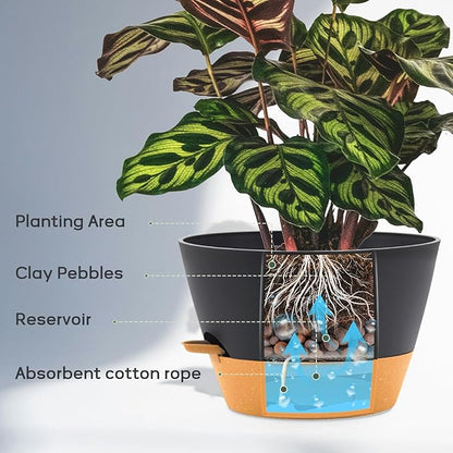 12-Inch Self Watering Planters with Drainage Holes, Large Flower Pots for Indoor Outdoor Plants, Garden Pots Grey 2 Pack