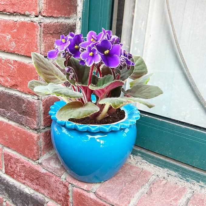 African Violet Pots 6.5 * 4.6 Inch Blue Ceramic Easy Plant Self Watering Pot Blue Ceramic Flowerpot with Water Absorbing Inner Pot Orchid Planter Lawn Yard Outside Decor