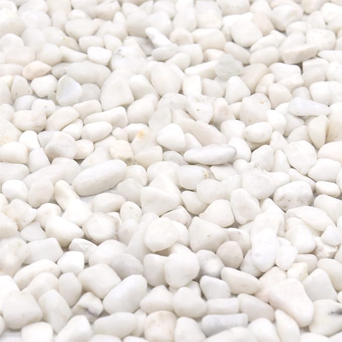 White Rocks - 3/8 Inch. Decorative Polished Pebbles for Garden, Succulents, Vase Fillers (XSM 0.375 Inch - 5 lbs) perfection
