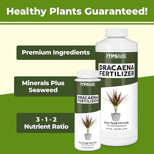Dracaena Fertilizer - Liquid Plant Food for All Dracaena Plants and Trees, 8 oz