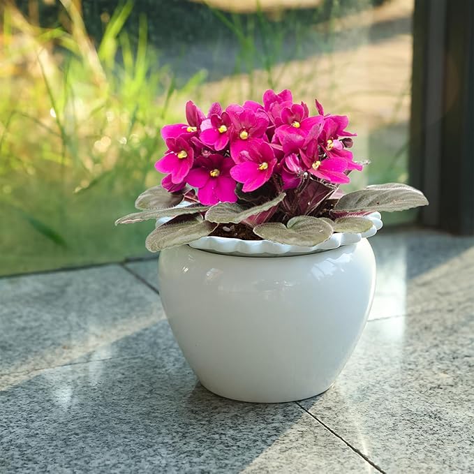 African Violet Flower Pot Ceramic Self Watering Flower Pot 6.5 * 4.6 * 4 inch Simple Plant Self Watering Pot Indoor Flowers High Absorption Herbaceous Flower Pots Modern Decor Pots