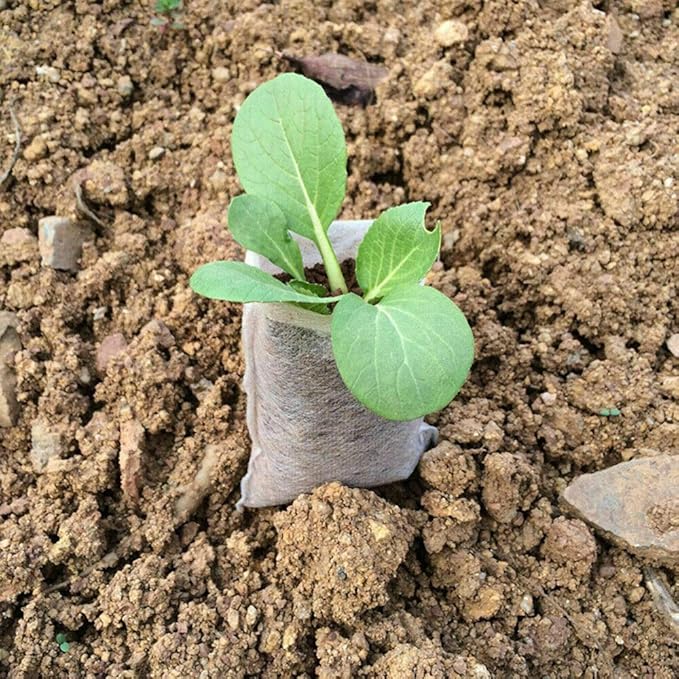 Plant Grow Bags,200PCS Non-Woven Grow Bags Biodegradable Breathability Pots Plants Pouch Breeding Bags(12 * 12CM)