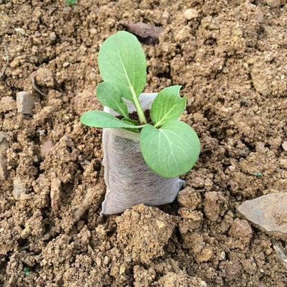 Plant Grow Bags,200PCS Non-Woven Grow Bags Biodegradable Breathability Pots Plants Pouch Breeding Bags(8 * 10CM)