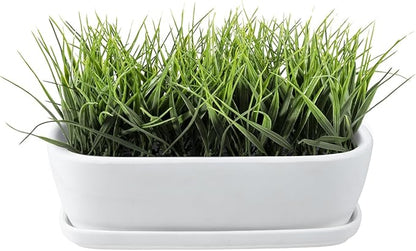 MyGift 14 Inch Oval Modern Matte White Ceramic Succulent Planter Pot with Drainage Hole and Removable Saucer, Decorative Indoor House Plant Container for Flowers, Cactus, Herbs