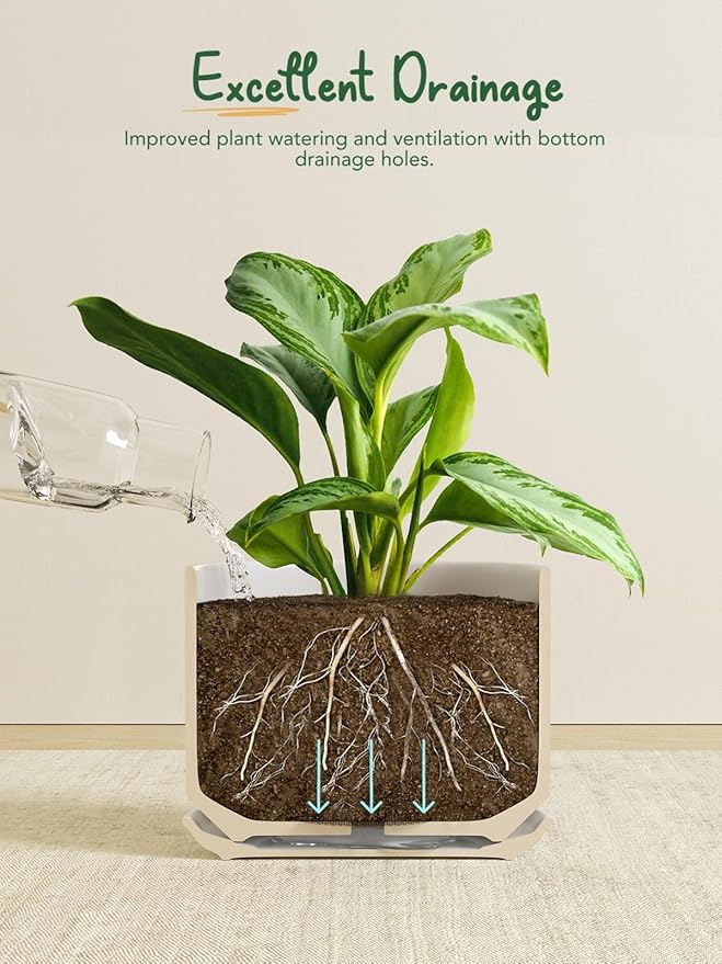 LE TAUCI Ceramic Pots for Plants, 10 Inch Plant Pot with Drainage Hole & Saucer, Sturdy & Modern Planters for Indoor Plants, Includes Mesh Screen, Fits Snake Plant & Monstera, Forest Green