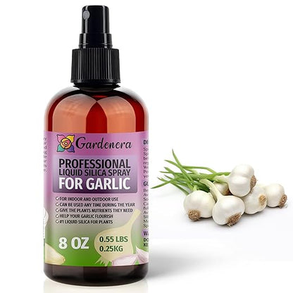 𝐒𝐔𝐏𝐄𝐑𝐈𝐎𝐑 Liquid Silica Boost Fertilizer and Supplement Spray for Garlic Plants – Pre-Mixed, Ready-to-Use Liquid Silicon Plant Superfood Mist for Indoor & Outdoor Plants – 8oz