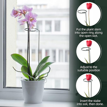 Green Metal Plants Support Stakes (Pack of 8), Garden Single Stem Plant Support Rod and Ring with 10 PCS Plant Clips, Plant Support and Clips Set - for Amaryllis, Rose, Tomato Seedling, Sapling