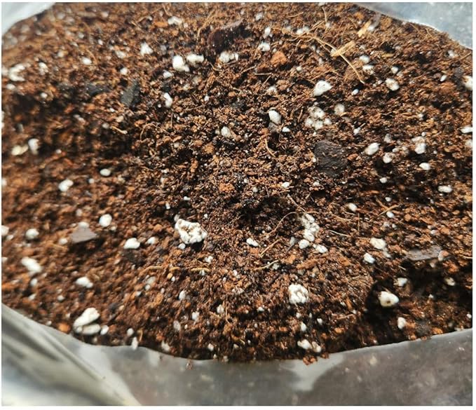Nature’s Way Soil® Orchid & African Violet Potting Mix – Premium Coco Coir, Worm Castings, Activated Biochar & Perlite | Lightweight, Nutrient-Rich Indoor Plant Blend -12 Quarts