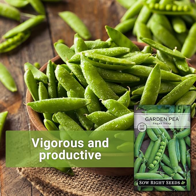 Sow Right Seeds - Sugar Snap Pea Seeds for Planting - Non-GMO Heirloom Peas to Grow in Vegetable Garden - High Yield Cool Season Crop - Packet with Instructions for Pea Plant Care (1)