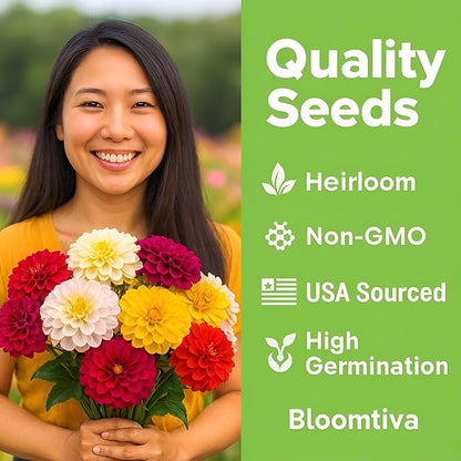 Dahlia Zinnia Seeds Bulk – 1100 Heirloom Zinnia Seeds for Planting Outdoors - Mixed Colors & Large Blooms for Gardens - High Germination (Zinnia elegans)