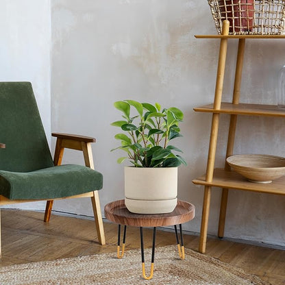 Plant Stand Indoor Outdoor, Mid Century Style Walnut Wood Color Plant Stand,Waterproof Design Modern Plant Table,Easily Assemble Come With Tools,Nice For Room Decor (M)
