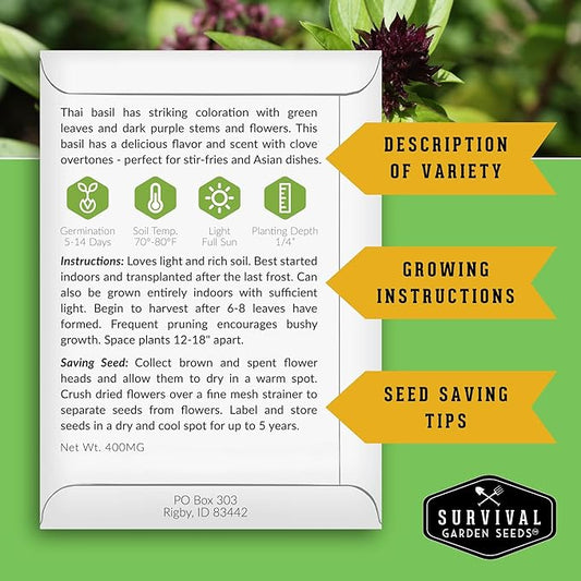 Thai Basil Seeds for Planting – Sweet Thai Basil with Anise Flavor for Asian Cooking – Heirloom Non-GMO Herb Seed for Indoor or Outdoor Gardens – Survival Garden Seeds (2 Pack)