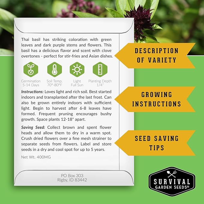 Thai Basil Seeds for Planting – Sweet Thai Basil with Anise Flavor for Asian Cooking – Heirloom Non-GMO Herb Seed for Indoor or Outdoor Gardens – Survival Garden Seeds (3 Pack)