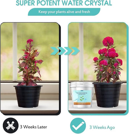 5LB Water Storing Crystals for Plants with Spoon, Water Gel Solves Plant Over-Watering and Drought Problems, Keeps The Soil Moist, Small Water Storing Polymer Crystals for Plants Candle - by Oycevila