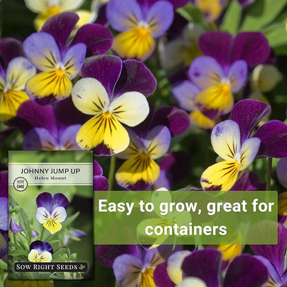 Sow Right Seeds - Violet, Johnny Jump-Up Flower Seed for Planting - Beautiful Flowers to Plant in Your Garden - Non-GMO Heirloom Seeds - Perfect for Spring Containers - Attract Pollinators (4)
