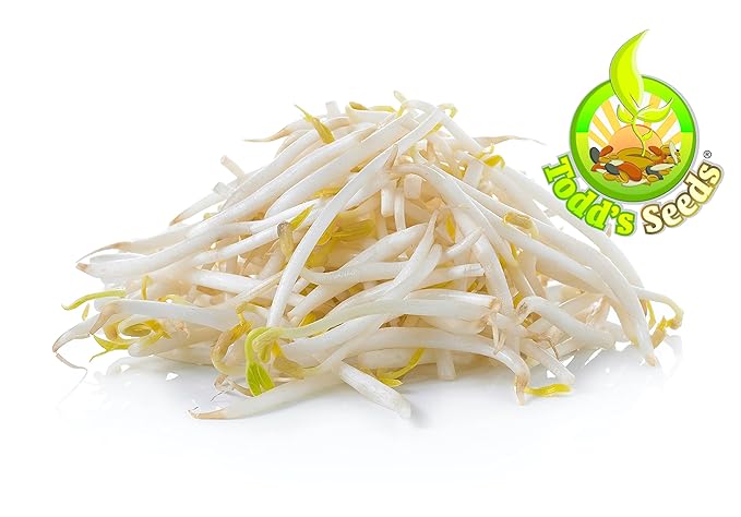 Todd's Seeds® Sprouting Seeds Mung Bean, Chinese Bean Sprouts, 5 Pounds