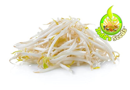 Todd's Seeds® Sprouting Seeds Mung Bean, Chinese Bean Sprouts, 5 Pounds