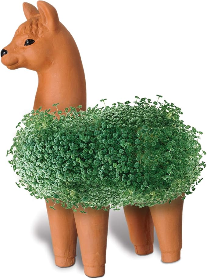 Chia CP439-01 Pet Llama Decorative Pottery Planter, Easy to Do and Fun to Grow