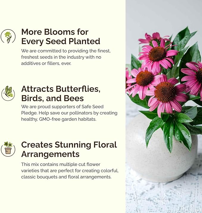 Eden Brothers The Bees Knees Wildflower Mixed Seeds for Planting, 1 lb, 480,000+ Seeds with Siberian WallFlower, Cosmos | Attracts Pollinators, Plant in Spring or Fall, Zones 3, 4, 5, 6, 7, 8, 9, 10