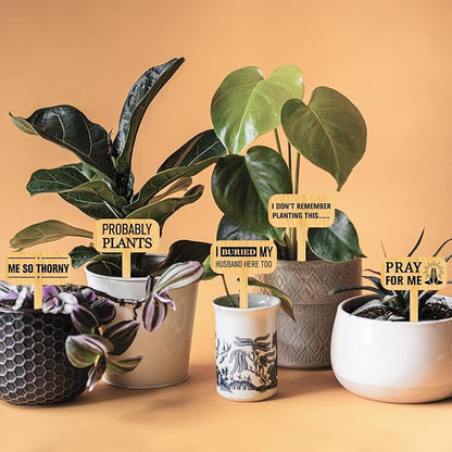 arricraft 15 Pcs Funny Plant Markers, Wooden Garden Stakes T-Type Garden Labels Funny Talking Plant Funny Garden Signs Plant Markers for Indoor and Outdoor Potted Seed Herbs Unique Funny Gifts