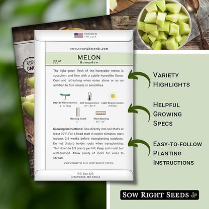 Sow Right Seeds - Green Honeydew Melon Seeds for Planting - Non-GMO Heirloom Packet with Instructions to Plant a Home Vegetable Garden - Super Sweet and Crisp Green Honey Dew Cantaloupe (1)